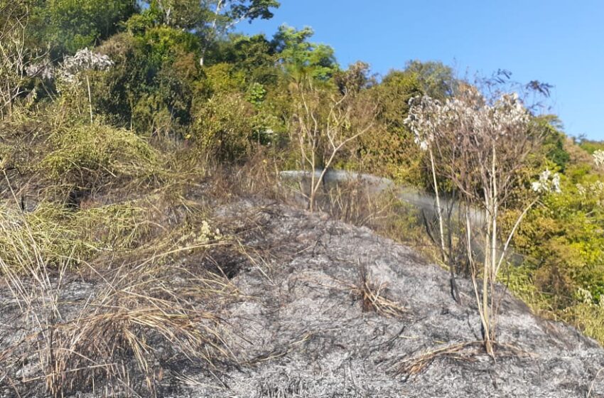  Puerto Iguazú: Incendio de Pastizal