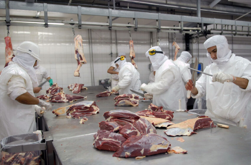  Un cierre de exportaciones de carne no bajará la inflación , advierte la FADA