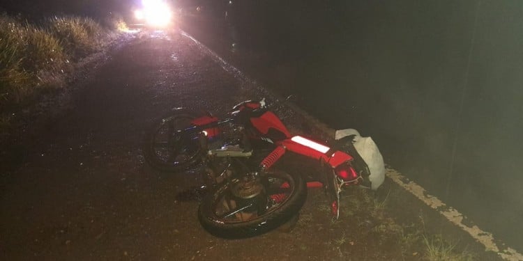  Un árbol cayó sobre la ruta provincial 211 y provocó el despiste de una moto
