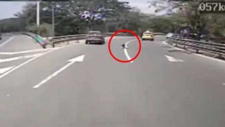  Una nena de 6 años se cayó de un taxi en plena autopista y salvó su vida de milagro