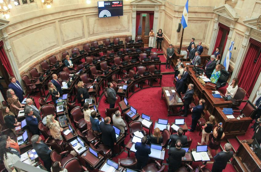  Sin la presencia de la oposición, el Senado convirtió en ley el Presupuesto 2023