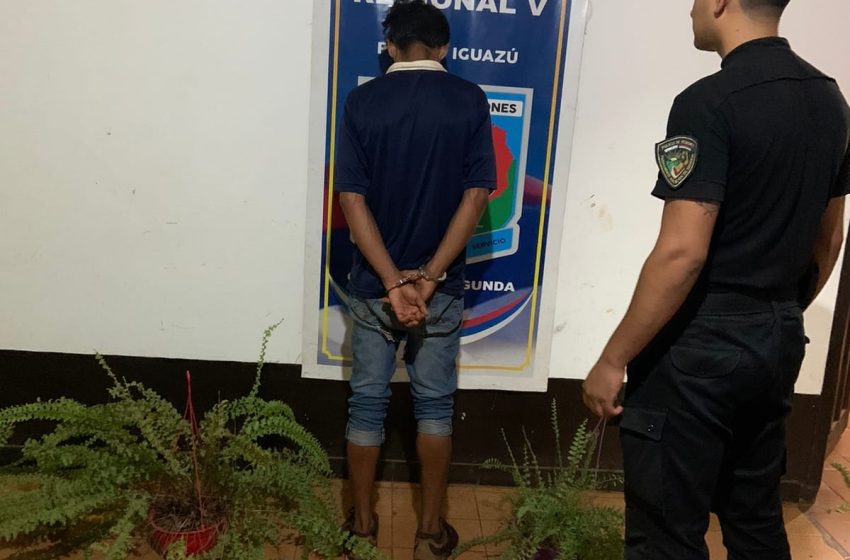 Iguazú: Atraparon a un hombre minutos después de robar plantas de un vivero