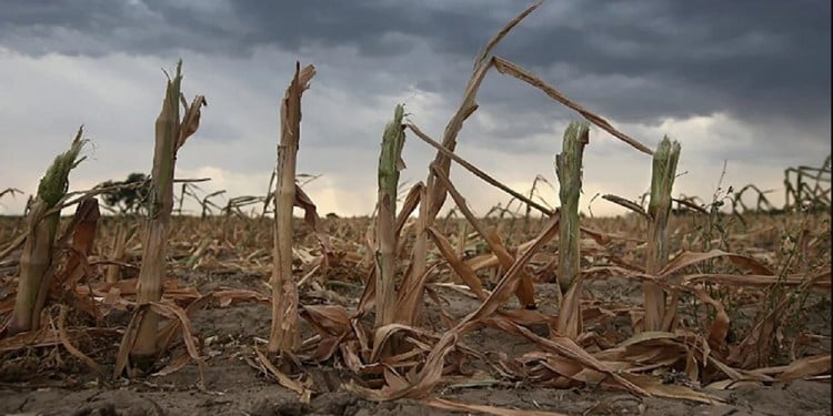  Crisis hídrica: más del 50% del país está afectado por la sequía