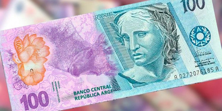  ¿Es factible implementar tener una moneda común entre Argentina y Brasil?
