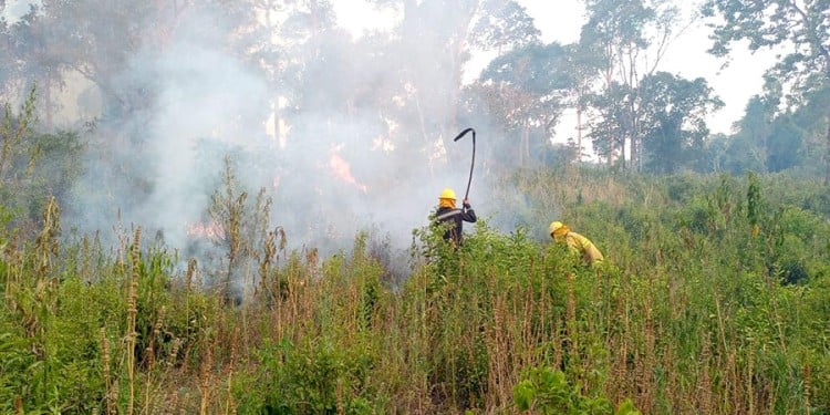  “En el período más crítico se redujeron un 35% los focos de incendios en Misiones”