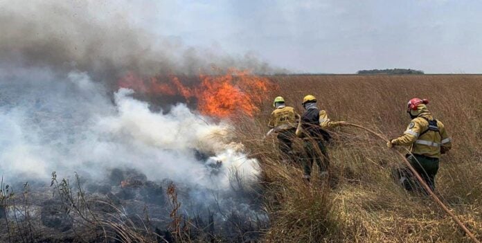  El Iberá nuevamente amenazado por los incendios en Corrientes