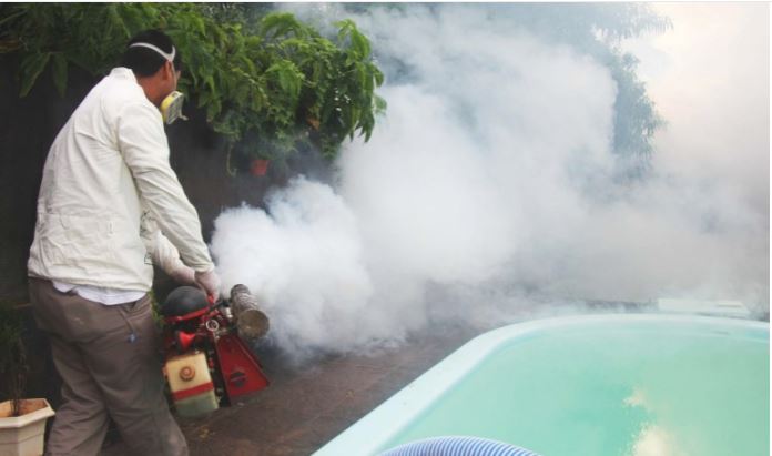  Paraguay en alerta: acumula más de 24 mil casos de chikungunya