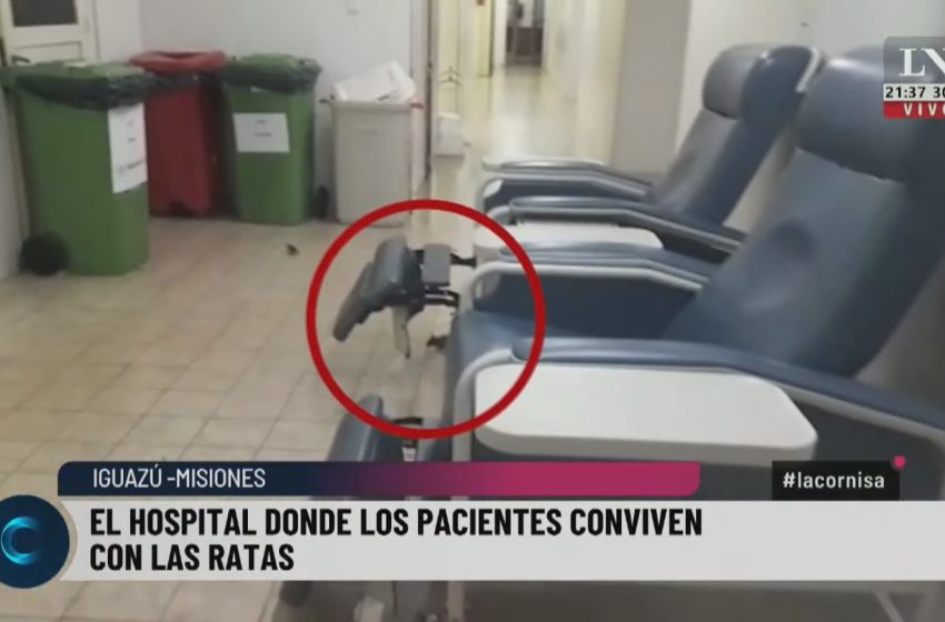  Encuesta: ¿Crees real los videos elevados por LN+ mostrando ratas en el hospital Samic de Iguazú?