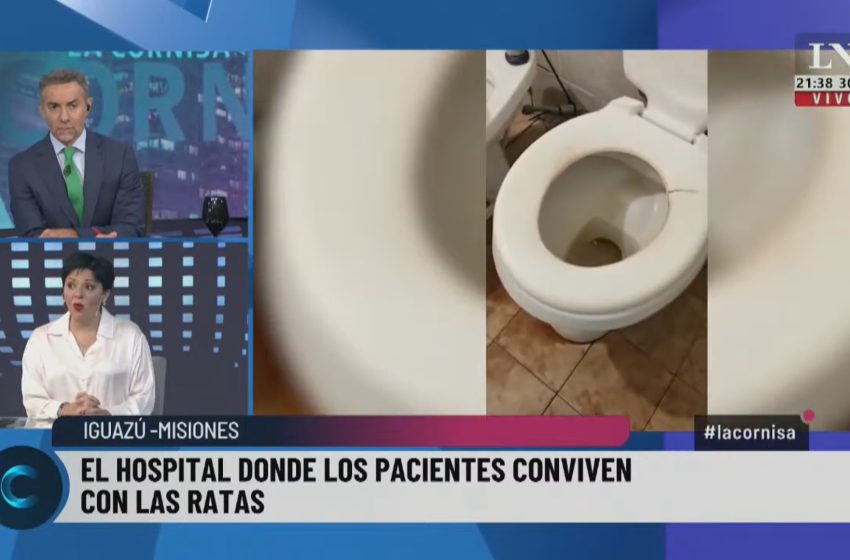 Ratas en el Hospital: «Fue un hecho aislado y se llamó a un equipo técnico para eliminarlo inmediatamente», expresó la Dir. de Hospital de Iguazú