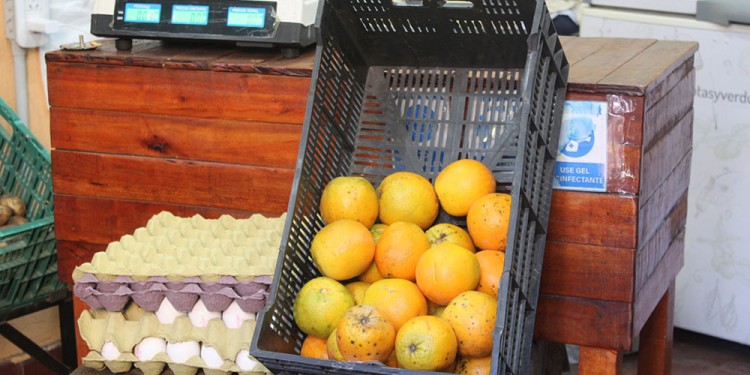  Se viene un año con pocas naranjas, más chicas y al doble de precio por la sequía