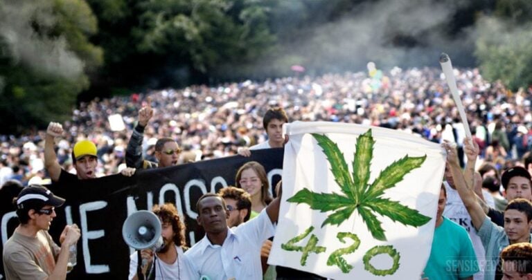  Por qué el mundo celebra hoy el Día de la Marihuana