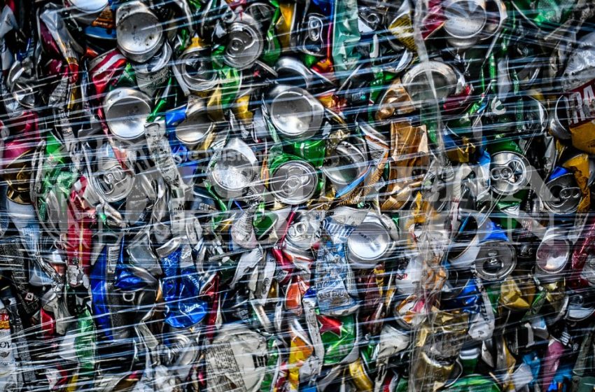  El Centro Verde Municipal de Posadas recicla y reutiliza casi 500 mil kilos de residuos al año