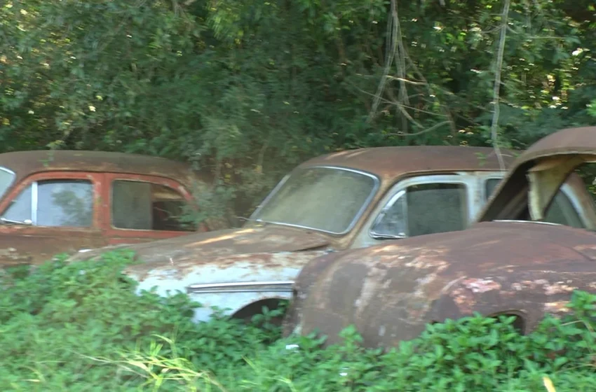 Ruta 12 : La historia detrás del cementerio de autos antiguos