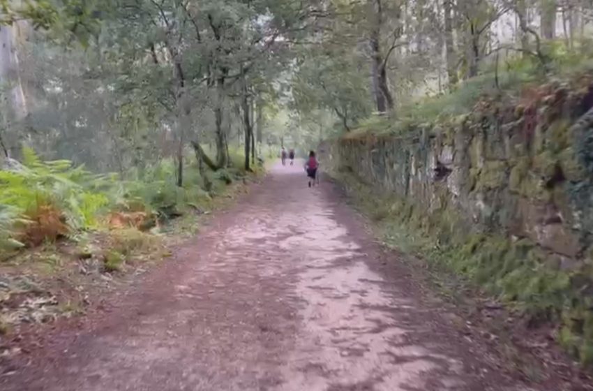  El Camino de Santiago de Compostela. Etapa 7 de Redondela a Pontevedra