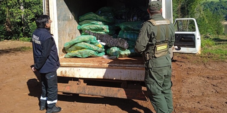 Intentaban cruzar a Paraguay con más de 3.000 kilos de carne vacuna sin cadena de frío