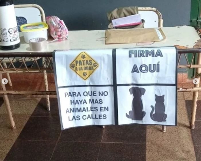  Patas a la Obra busca apoyo en las escuelas para su proyecto de equilibrio poblacional de perros y gatos