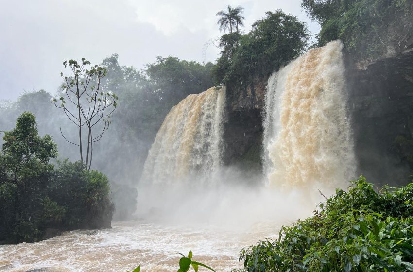  El Parque Nacional Iguazú abrirá normalmente el domingo 22
