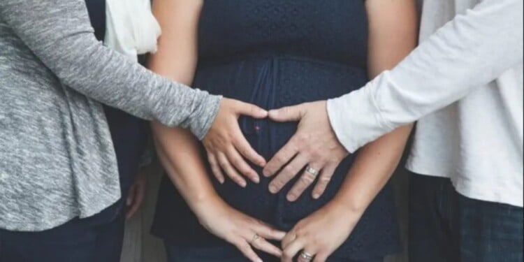  Por primera vez la Justicia misionera autorizó un tratamiento de fertilidad con el método de vientre subrogado