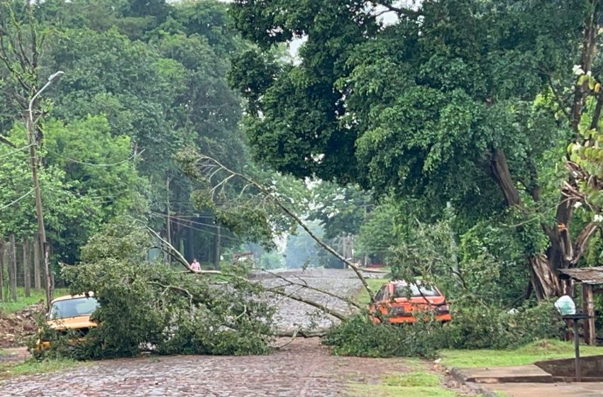  Temporal en Misiones: En Pto. Iguazú se registraron algunos daños materiales ocasionados por los fuertes vientos