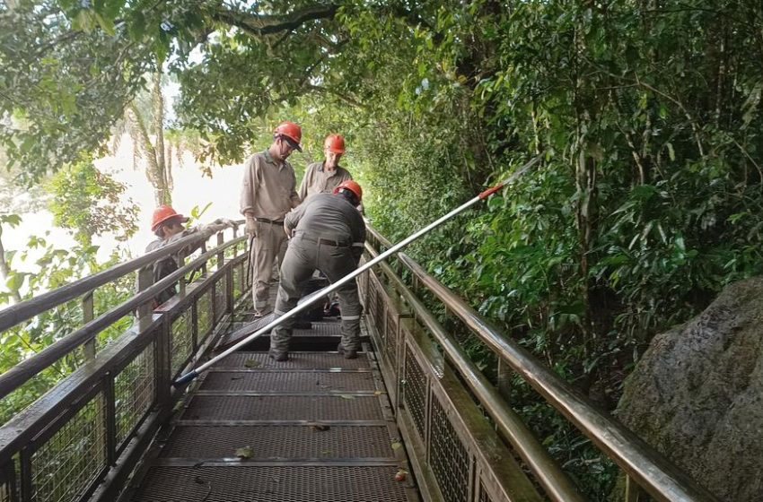  Comenzaron los trabajos de recuperación y limpieza en los circuitos de las Cataratas del Iguazú