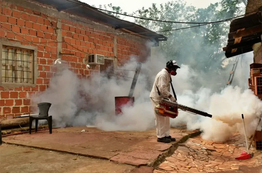  Ascienden a siete los pacientes internados con dengue en Misiones