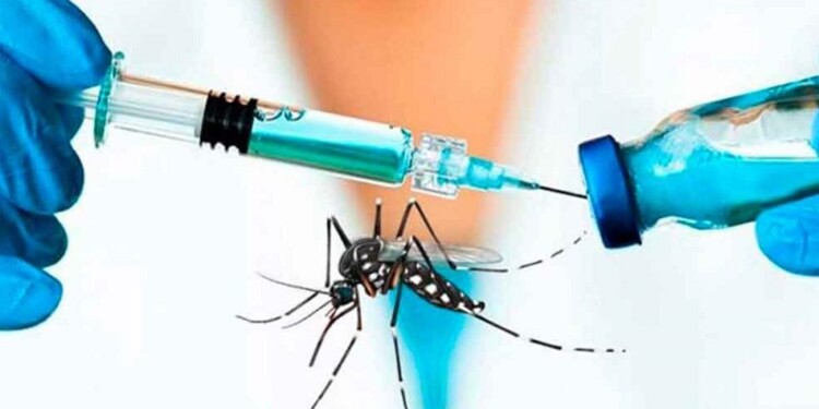  Misiones: faltan repelentes y el precio de la vacuna contra el dengue supera los 50 mil pesos por dosis