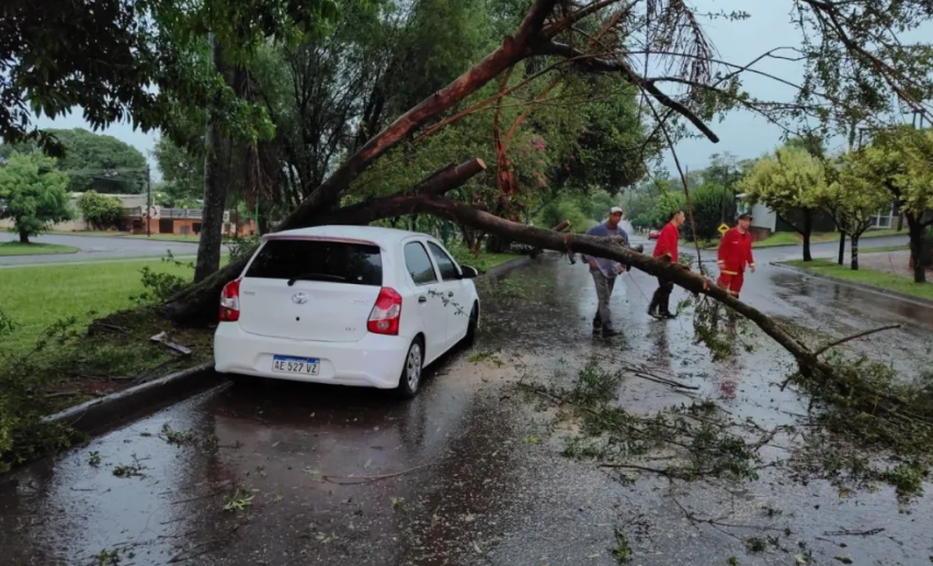  Fuerte tormenta causó estragos en la zona sur de Misiones con caída de árboles y postes