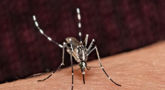  Corrientes registra 10 muertes por dengue y 200 casos activos