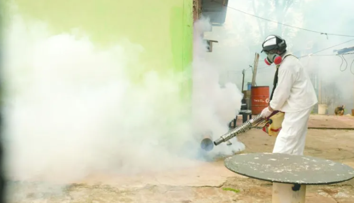  En una semana Misiones sumó cerca de 400 casos nuevos de dengue