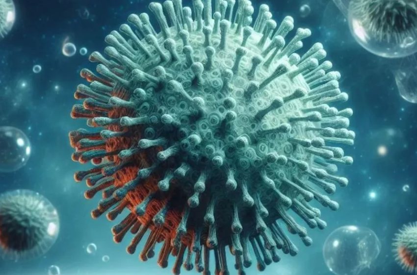  La OMS advierte sobre la “enfermedad X” y asegura que es 20 veces más mortal que el Coronavirus