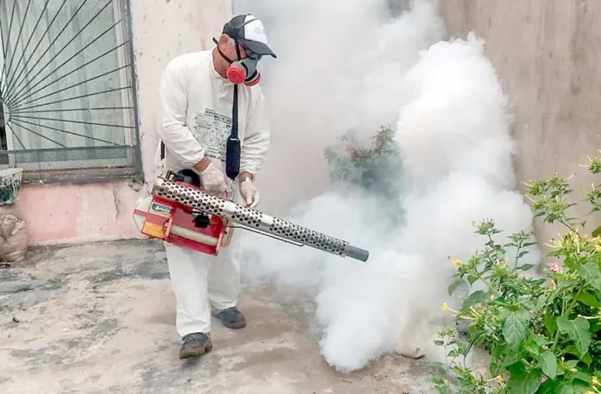  Dengue: se infectaron con DEN-2 las personas que murieron en Misiones
