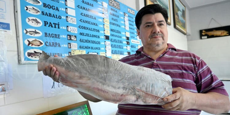  Comenzó la Cuaresma y el pescado de río más económico arranca en los 2.000 pesos