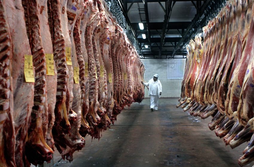  Se desplomó el consumo de carne en los dos primeros meses del año y se ubica en el nivel más bajo en 13 años