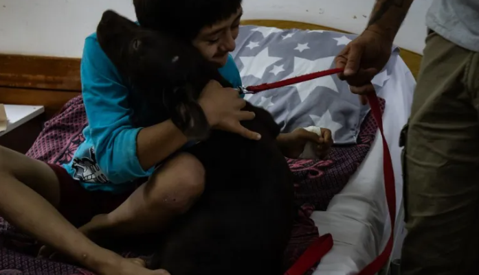  Implementan terapia con perros para niños internados en el Pediátrico de Posadas