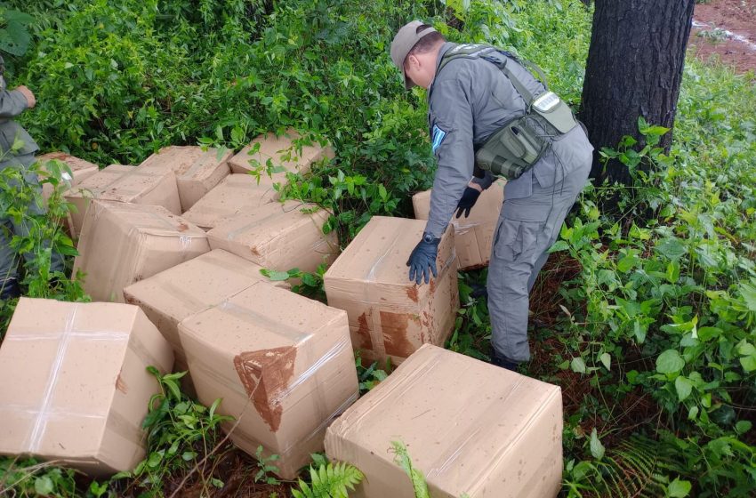  Gendarmería secuestra casi 280 kilos de marihuana en Misiones