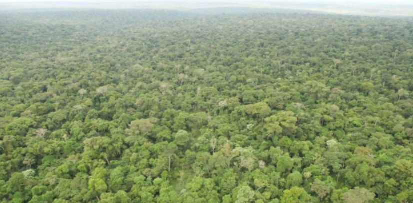  Foz do Iguaçu será sede en junio de un Foro Nacional sobre Unidades de Conservación