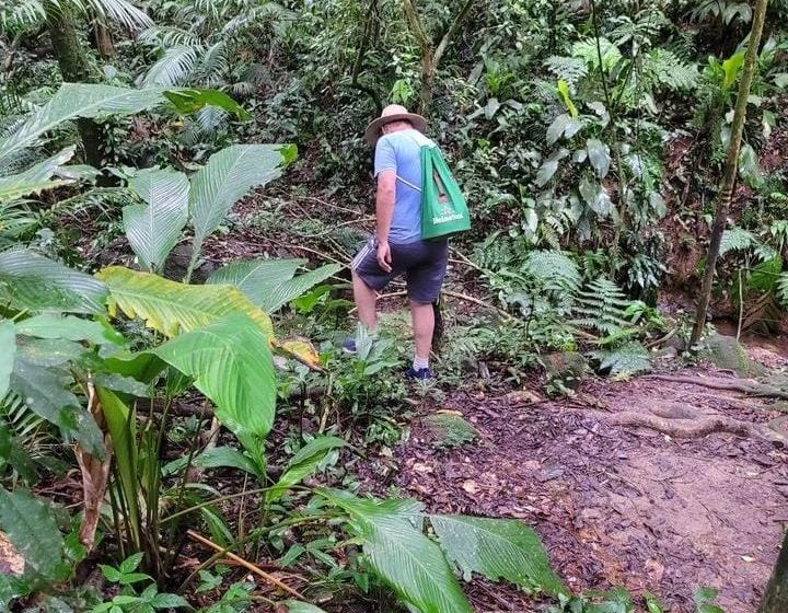  Caminata para identificar y recolectar hierbas sanadoras en Eldorado