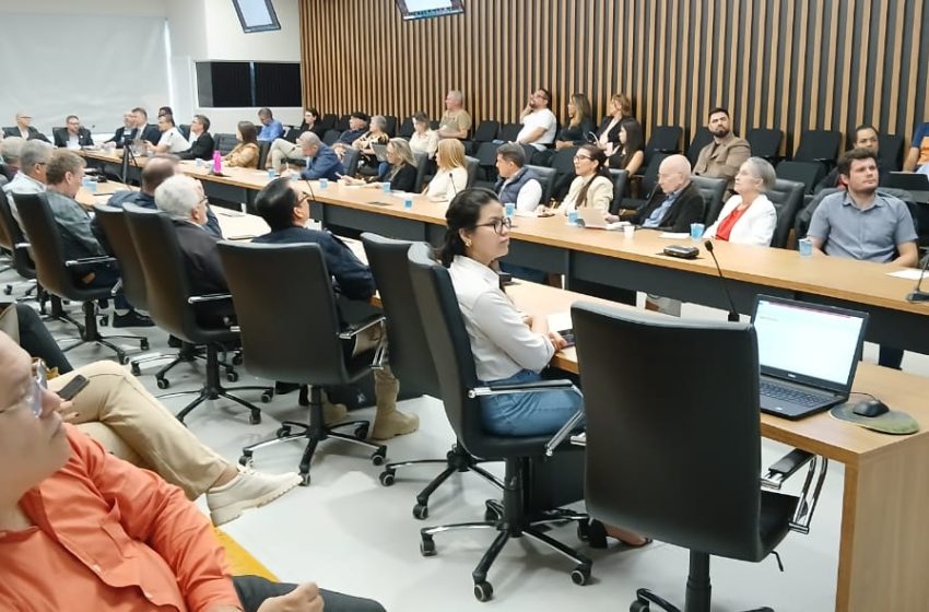  Codefoz debate acciones y propuestas de salud pública en Foz do Iguaçu