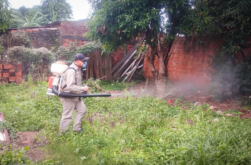  Ni el frío bajó la población de Aedes y la Municipalidad de Posadas hace fumigaciones preventivas