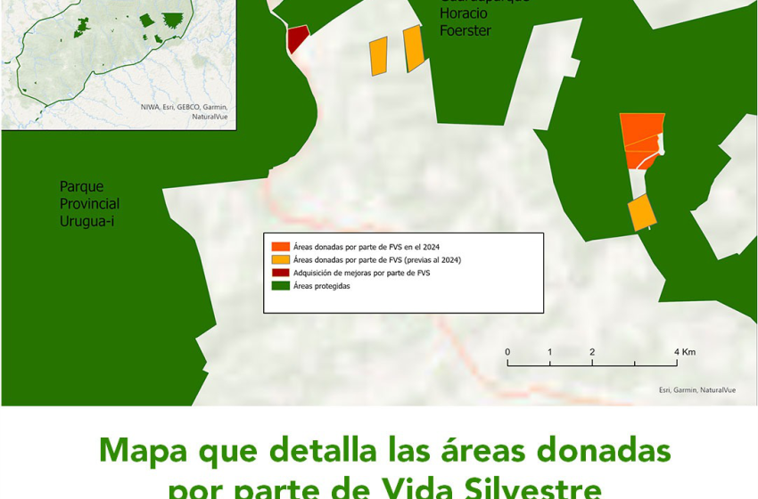  Vida Silvestre dona 80 hectáreas para sumar al sistema de áreas protegidas de Misiones