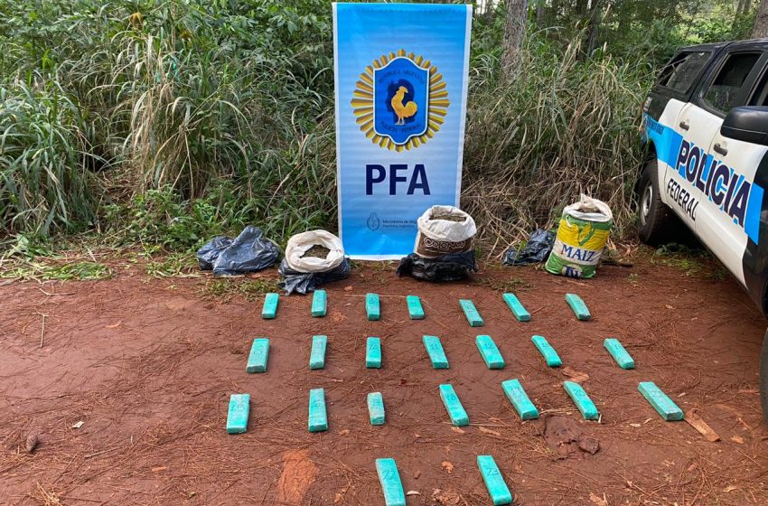  Golpe al narcotráfico: La PFA confisca casi 34 kilogramos de marihuana en Pto. Esperanza