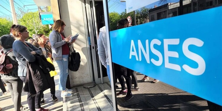  ANSES: quiénes cobran esta semana del lunes 12 de julio al viernes 16 de agosto