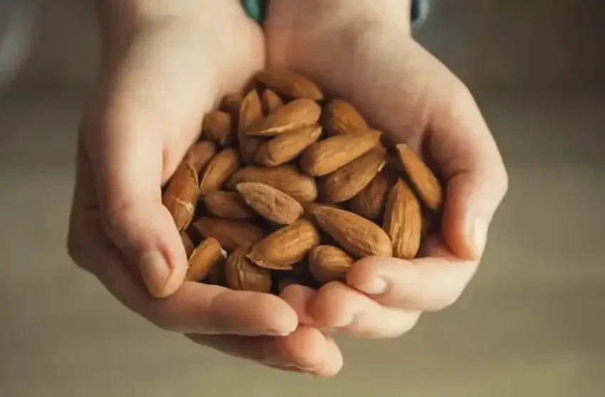  El fruto seco que más genera colágeno natural y ayuda a bajar de peso