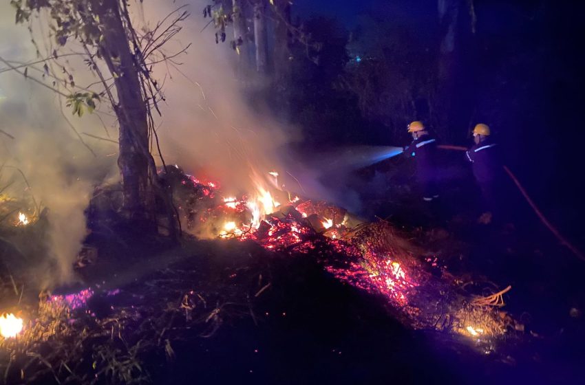  Principio de incendio en pastizales de Iguazú fue controlado a tiempo