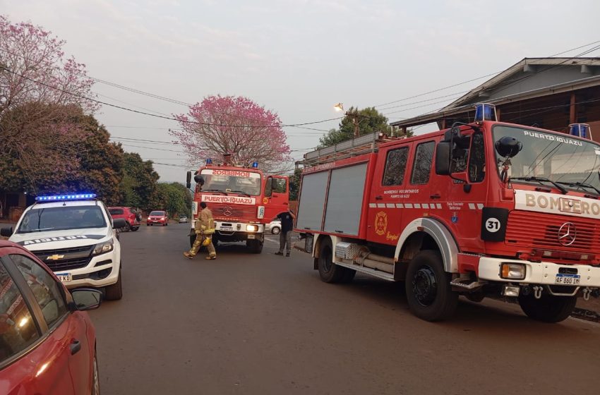  Rescate de perrita y principio de incendio en un supermercado en Iguazú