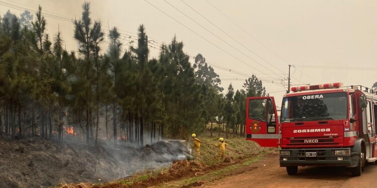  Tiró una colilla encendida y provocó un incendio en Oberá