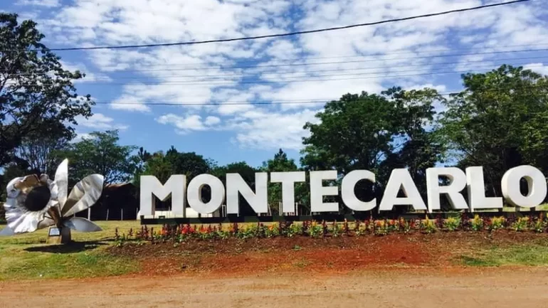  Madereros de Misiones piden el cierre del Instituto Forestal Provincial: “Es obsoleto”