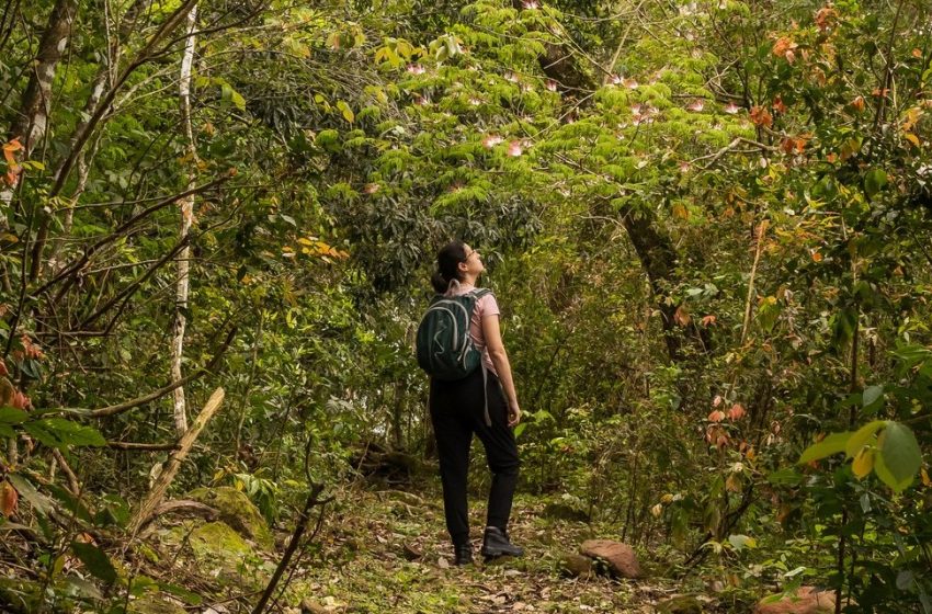  Inauguran circuito Ytepopo en el Parque Nacional do Iguaçu: Un recorrido natural en plena selva atlántica