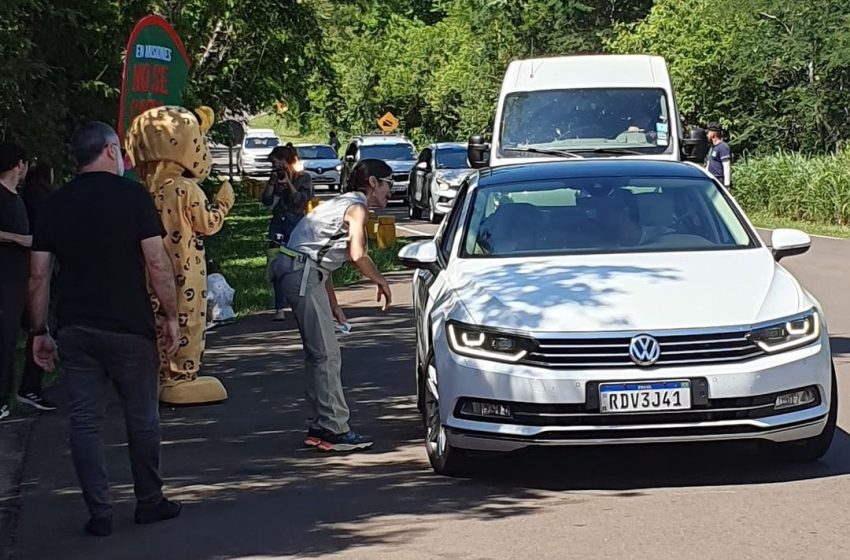  Fin de semana largo : Campaña de sensibilización sobre el atropellamiento de fauna silvestre en rutas