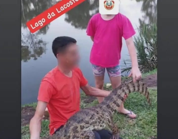  Alerta en Bernardo de Irigoyen: buscan capturar a un yacaré liberado en un lago público